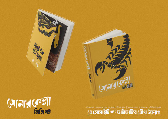 cover SK MINI copy